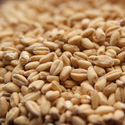 Unmalted Raw Wheat