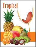 Tropical Blast Extract