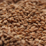 Red Wheat Malt, North American - Doc's Cellar