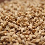 6-Row Barley Malt - Rahr - Doc's Cellar