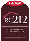 RC 212 - Doc's Cellar