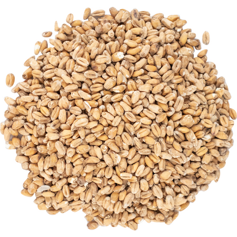 White Wheat Malt, European - Doc's Cellar