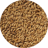 Oat Malt