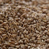 Oat Malt